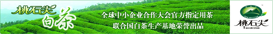 桃石尖白茶