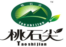 桃石尖白茶