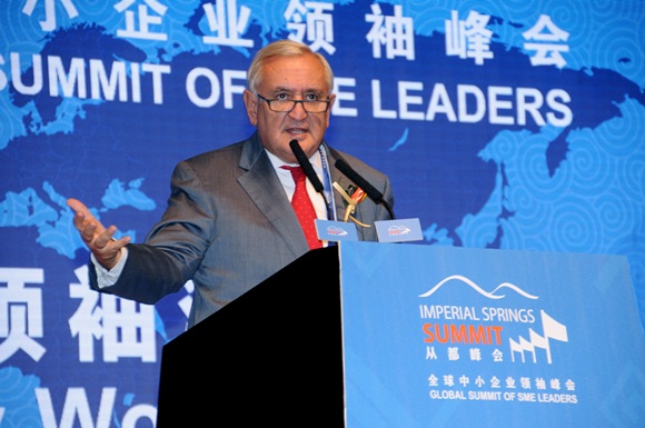 Mr. Jean-Pierre Raffarin