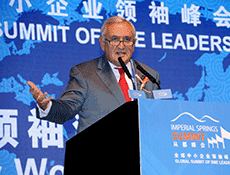 Mr. Jean-Pierre Raffarin